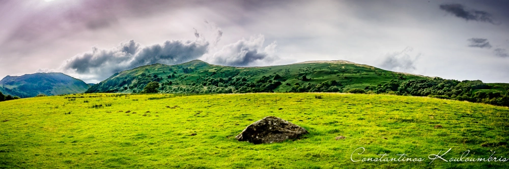 Meadow