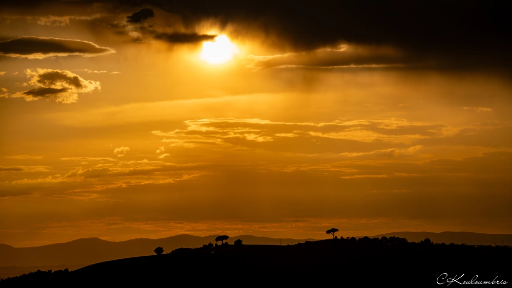 Tuscany sunset trees